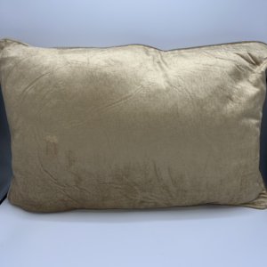 Fluweel goud kussen